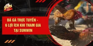 Đá Gà Trực Tuyến - 6 Lợi Ích Khi Tham Gia Tại SUNWIN