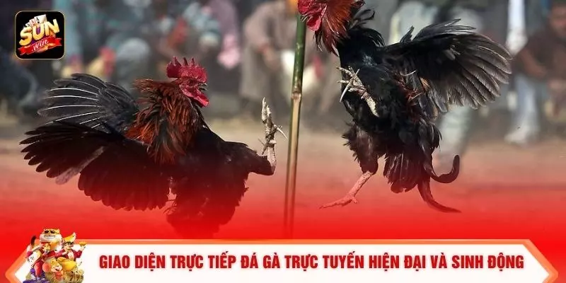 Đá Gà Trực Tuyến - 6 Lợi Ích Khi Tham Gia Tại Sunwin 1 Giao diện trực tiếp đá gà trực tuyến hiện đại và sinh động
