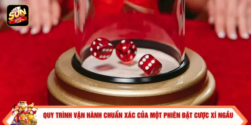 Quy trình vận hành chuẩn xác của một phiên đặt cược xí ngầu