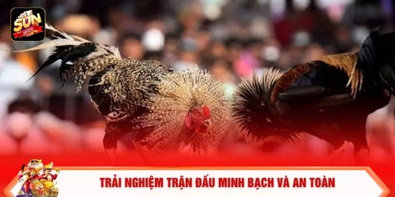 Đá Gà Trực Tuyến - 6 Lợi Ích Khi Tham Gia Tại Sunwin 2 Trải nghiệm trận đấu minh bạch và an toàn