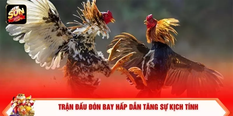 Đá Gà Trực Tuyến - 6 Lợi Ích Khi Tham Gia Tại Sunwin 3 Trận đấu đòn bay hấp dẫn tăng sự kịch tính
